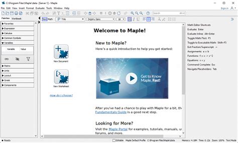 Maplesoft Maple Flow 2022.2